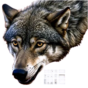 Alpha Wolf Portrait Png 60 PNG image