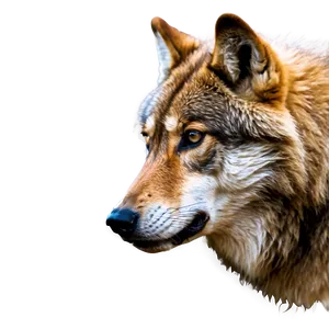 Alpha Wolf Spirit Animal PNG Lun46