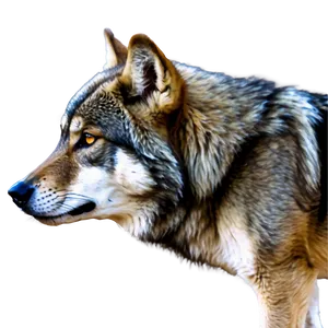 Alpha Wolf Stalking Prey PNG 18