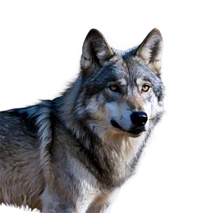 Alpha Wolf With Ice Background PNG Yqj91 PNG