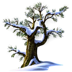 Alpine Snow Tree Png 06212024 PNG image