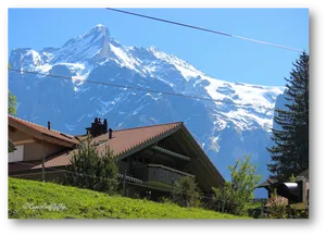 Alpine_ Summit_ Behind_ Chalet