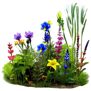 Alpine Wildflowers Panorama Png Rgd PNG image