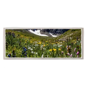 Alpine Wildflowers Panorama PNG Tcl21 PNG