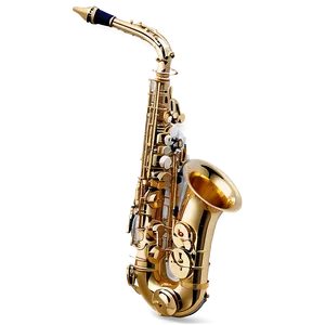 Alto Saxophone With Case Png Aka PNG image