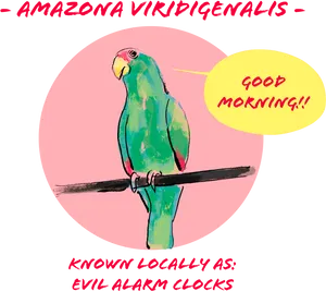 Amazon Parrot Good Morning Illustration PNG image