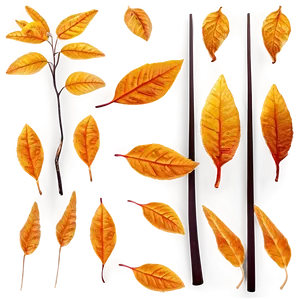 Amber Leaves Fall Png 06132024 PNG image