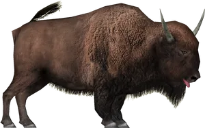 American Bison Side View PNG