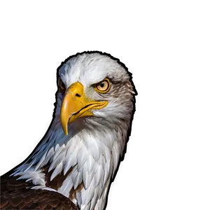American Eagle Close-up PNG 06122024 PNG