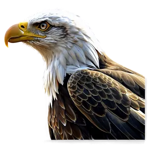 American Eagle Digital Art PNG 06122024 PNG