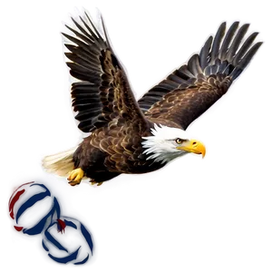 American Eagle Flying High PNG Pkt74 PNG