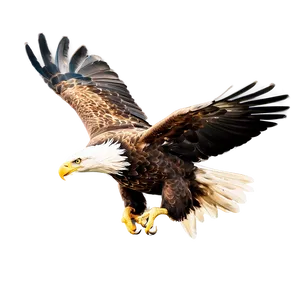 American Eagle Flying High Png Rob49 PNG image