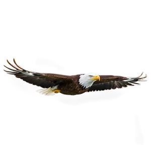 American Eagle Gliding PNG 92 PNG