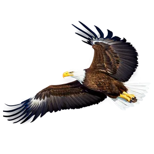 American Eagle Gliding PNG 96