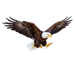 American Eagle In Action Png 55 PNG image