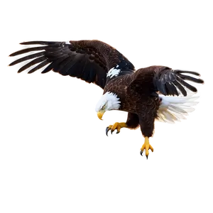 American Eagle In Dawn Light PNG Mmg PNG