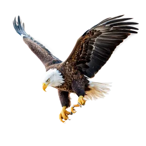 American Eagle In Flight Png 06122024 PNG image