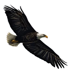 American Eagle In Flight Silhouette PNG 6 PNG