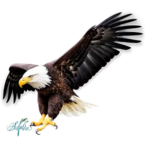 American Eagle In Forest PNG 44