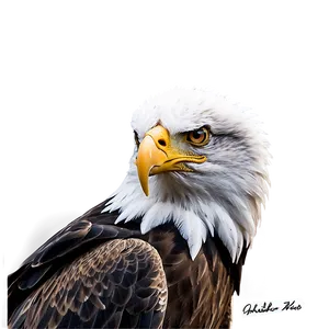 American Eagle In Forest PNG Vij