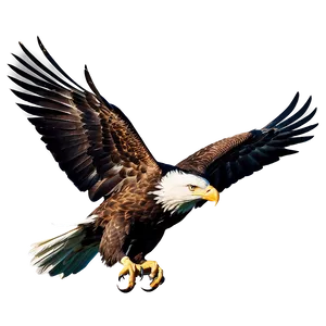 American Eagle In Nature PNG Rls