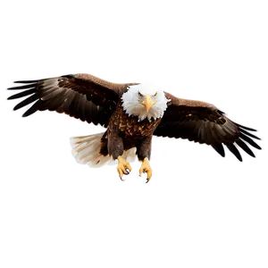 American Eagle In Sky PNG 06122024