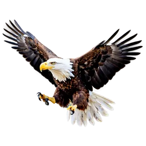 American Eagle In Sky Png Otl37 PNG image