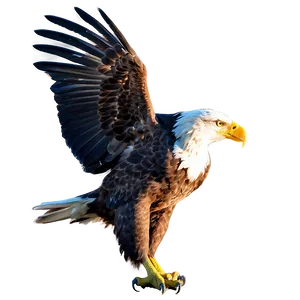 American Eagle In Sunset PNG 06122024 PNG