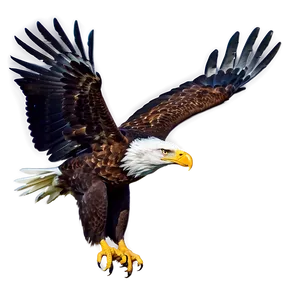 American Eagle Landing PNG 3
