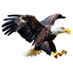 American Eagle Landing PNG Jyf37 PNG