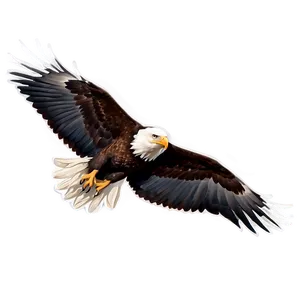 American Eagle Screaming PNG 06122024