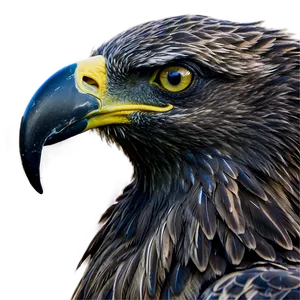 American Eagle Screaming PNG 06122024 PNG