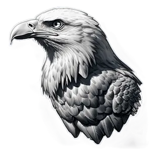 American Eagle Sketch PNG 06122024