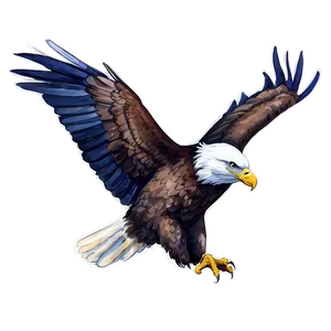 American Eagle Watercolor Png Jhw55 PNG image