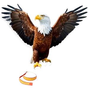 American Eagle Wings Spread PNG Nsi3 PNG