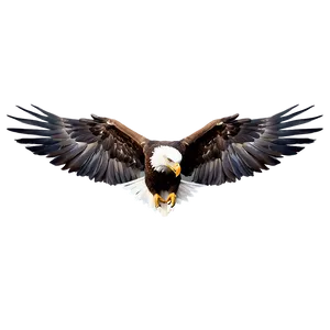 American Eagle Wings Spread Png Son PNG image