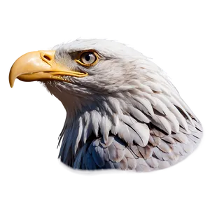 American Eagle With Clouds PNG 82