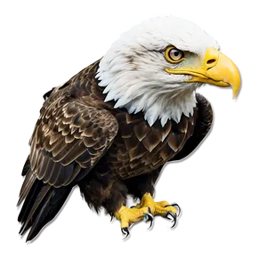 American Eagle With Mountains PNG 14