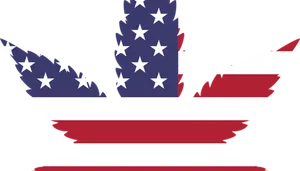 American Flag Eagle Silhouette