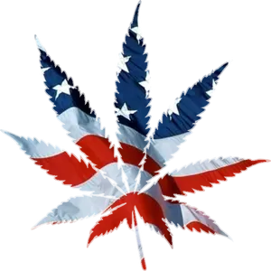 American Flag Weed Leaf PNG image