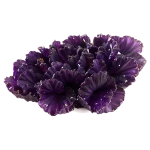 Amethyst Bloom PNG 15