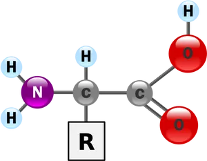 Amino Acid Structure Representation PNG image