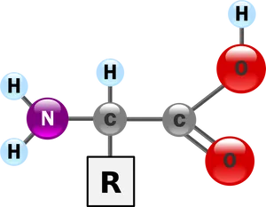 Amino Acid Structure Representation PNG image