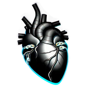 Anatomical Heart Black And White PNG Wup7 PNG