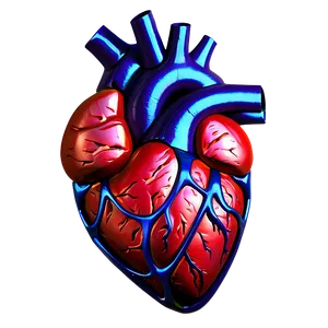 Anatomical Heart With Fire PNG 06122024 PNG