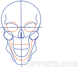 Anatomical Skull Drawing Guide PNG image