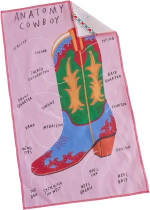 Anatomyofa Cowboy Boot Illustration PNG image