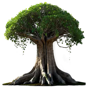 "ancient Banyan Tree PNG" Uwi98