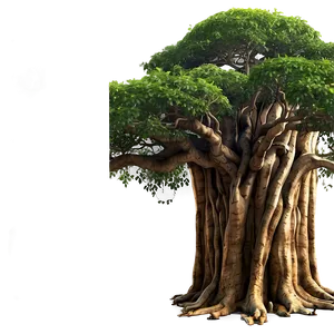 "ancient Banyan Tree PNG" Yya