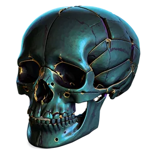 Ancient Bones Png Rrl37 PNG image